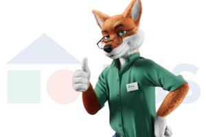 Elevate your online presence with our web design