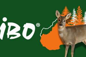 How we sped up the hunting and gardening website for even greener numbers