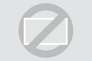 Crossing Borders: Native Call Centers for Global Success