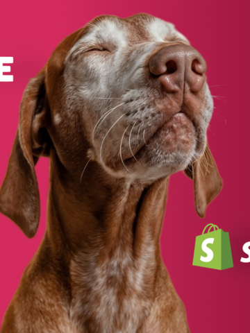 Premium feed. Premium platform. Maximum impact.