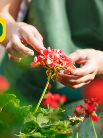 Case Study: 554% Increase in Revenue in the First Month of a Comprehensive Marketing Report