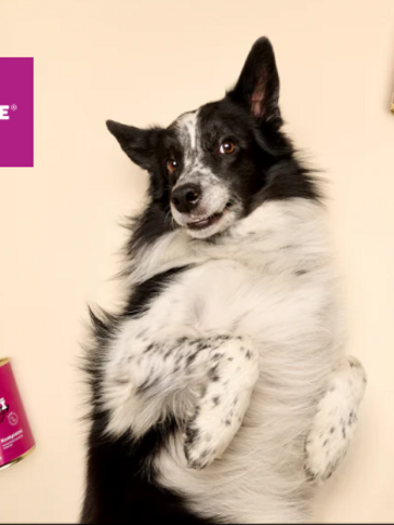 Premium feed. Premium platform. Maximum impact.