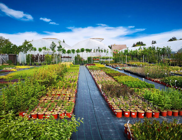 How does Dučplant evaluate our cooperation?