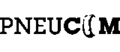 The text "Pneucom" appears to be a proper noun, likely a brand name or company name, and as such, it would remain unchanged in English. Therefore, the translation from Slovak to English is:
Pneucom