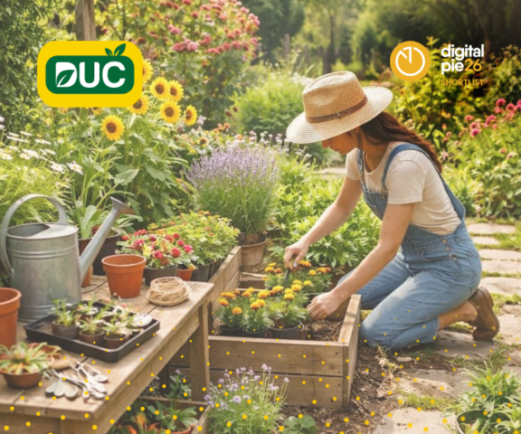 Dučplant