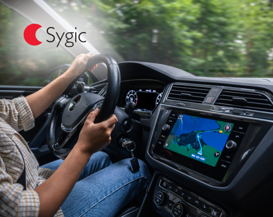 Sygic | Case Study