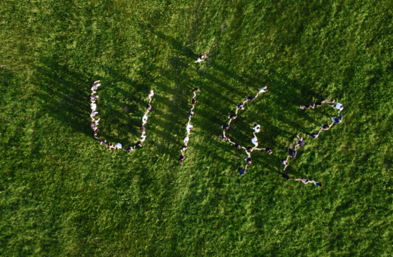 Your partner. Your team.