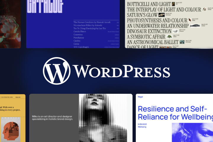 Website on WordPress